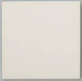 PT-100K/1[枚]　プールタイル