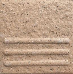 AK-101/06[枚] AKフロアーII 100角階段 屋内床 浴室床 屋外床 タイル