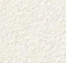 AK-103/01[枚] AKフロアーII 100角タレ付階段 屋内床 浴室床 屋外床 タイル