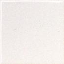 INAX 半磁器タイル 100角　片面取　SP-1060/C