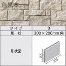 LIXIL|INAX　【6枚セット】ラグナロック　シャトーランドII　 LGR-R/CTL-11K-Bタイプ[バラ売り] 300×200mm角