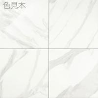 【在庫限り!】　INAX　トリロジーNX　600角平(磨き面)　DTL-600/TLN-2P