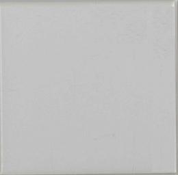 TOTO内装タイル　ビオティカ 100角 片面取　(3枚セット)　AA10#H82W1N　マットグレー