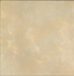 LEONARDO Ceramica　300角内床タイプ　D8760