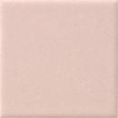 プライムパプリカ　50角モザイク　PP-50-41