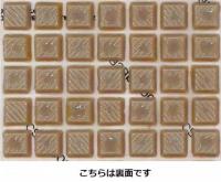 ベトロニュートラモザイクシリーズ　トルトラ(光沢)　735628