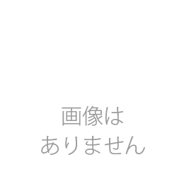 リクシル(INAX) 床タイル スタイルプラス ブリケージ 外床タイプ 300mm角平　 IF-300/BA-11