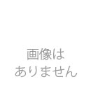 AKフロアーⅡ 100角平ユニット　AK-100/05